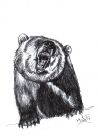 Medvídek - obrázek
