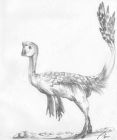 Oviraptor - obrázek